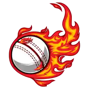 Cricket ID